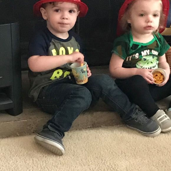 Meet your Posher, Robin - Picture 1 of 1